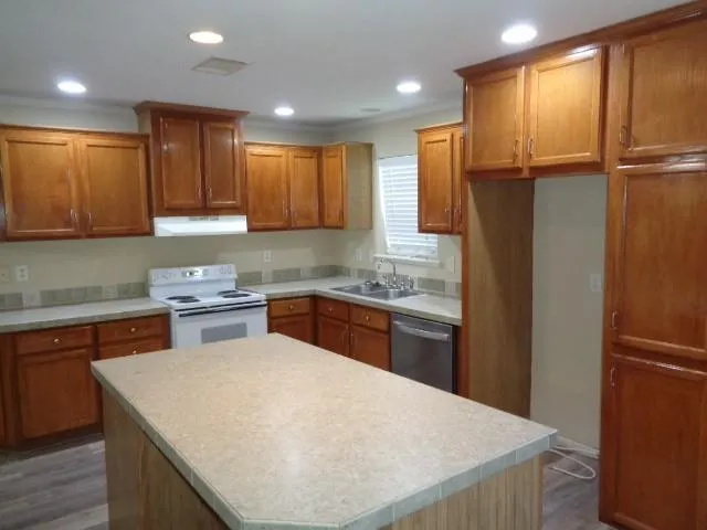 21414 Cherry Canyon Lane Tomball, TX 77375