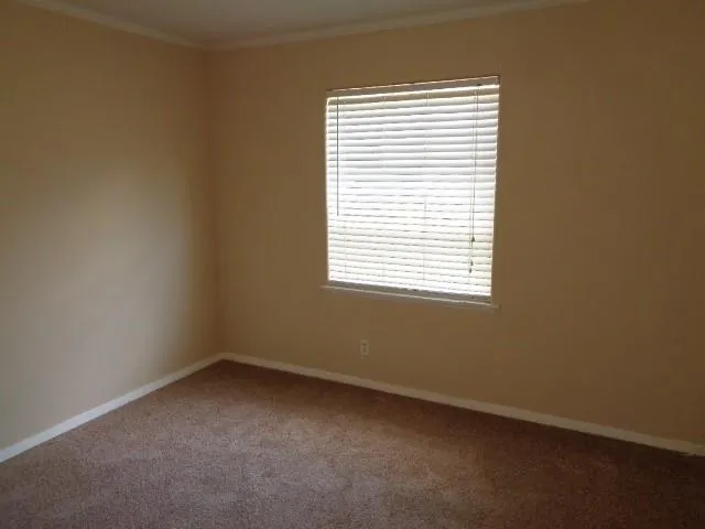 21414 Cherry Canyon Lane Tomball, TX 77375