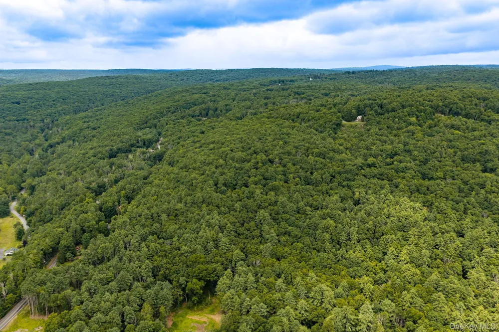 Lot 1.2 High Road Glen Spey, NY 12737