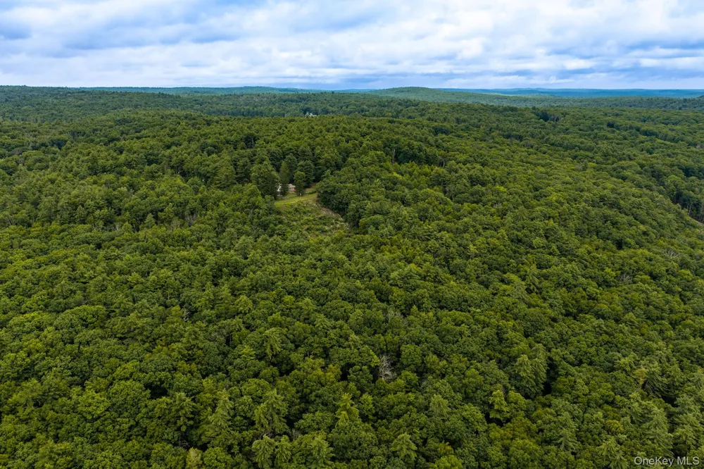 Lot 39 Lynn Road Glen Spey, NY 12737