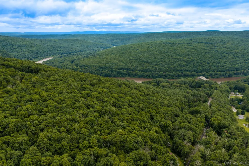 Lot 41 Lynn Road Glen Spey, NY 12737