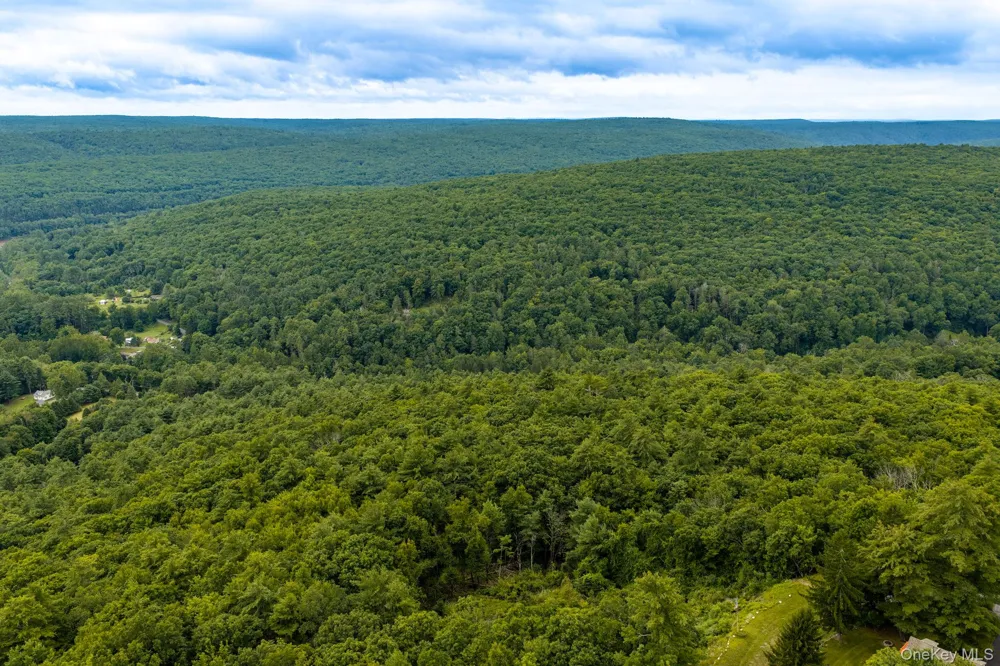 Lot 41 Lynn Road Glen Spey, NY 12737
