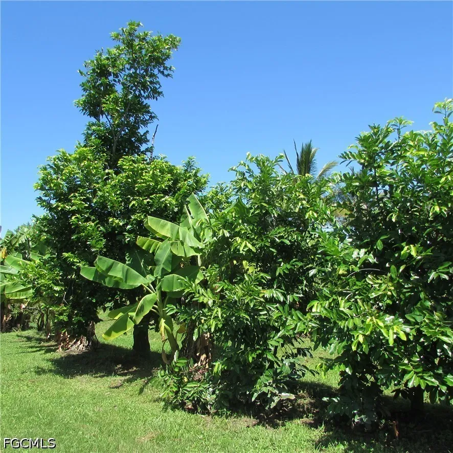 Windsong Lane Bokeelia, FL 33922