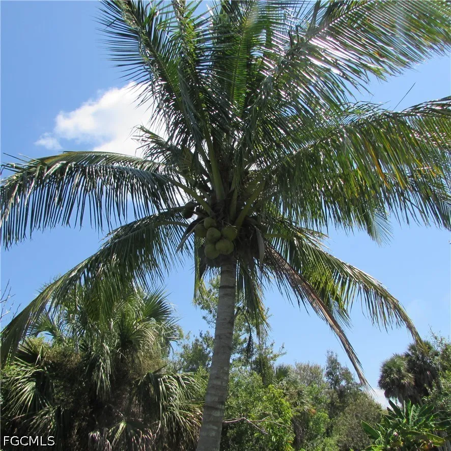 Windsong Lane Bokeelia, FL 33922