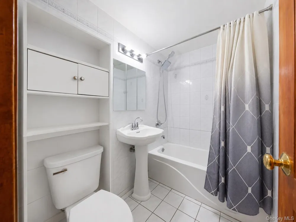 210 Brooklyn Avenue Brooklyn, NY 11213