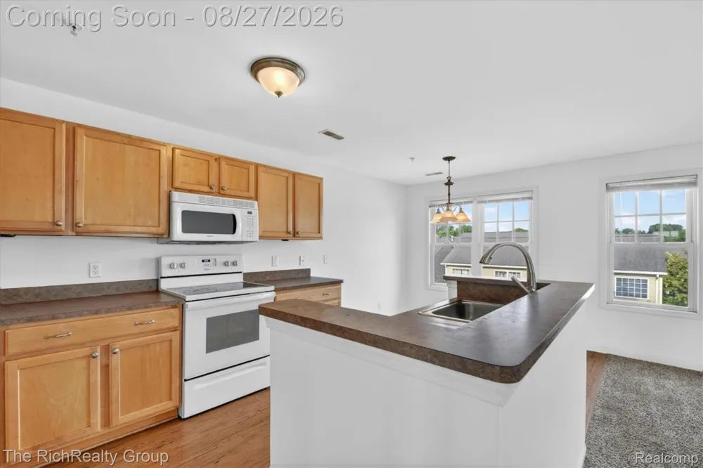 209 Amys Walk Auburn Hills City, MI 48326