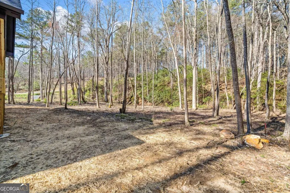 246 Woodward WAY Talking Rock, GA 30175