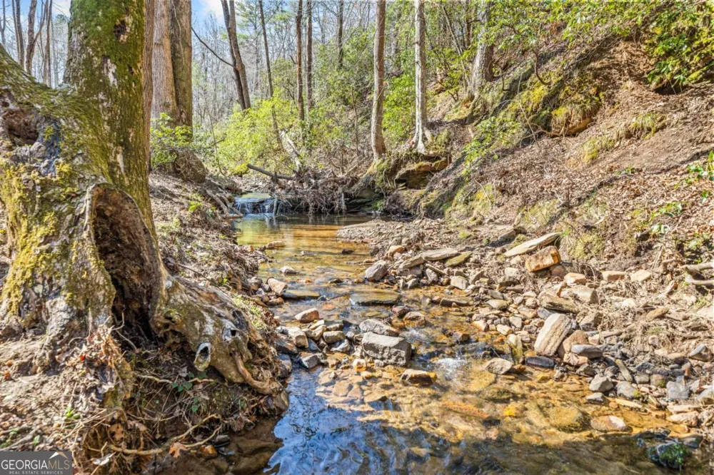246 Woodward WAY Talking Rock, GA 30175