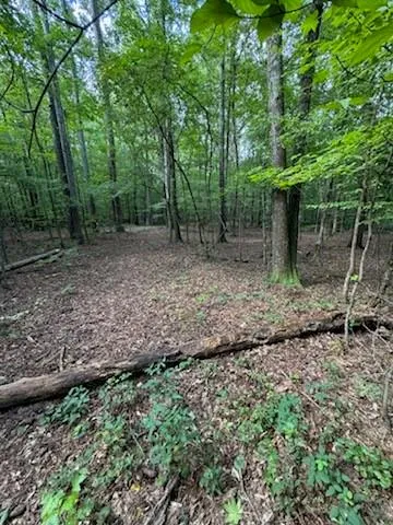 184 W Mcbride Road
