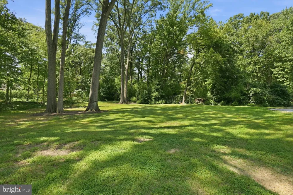 7712 FRANCES DRIVE Alexandria, VA 22306