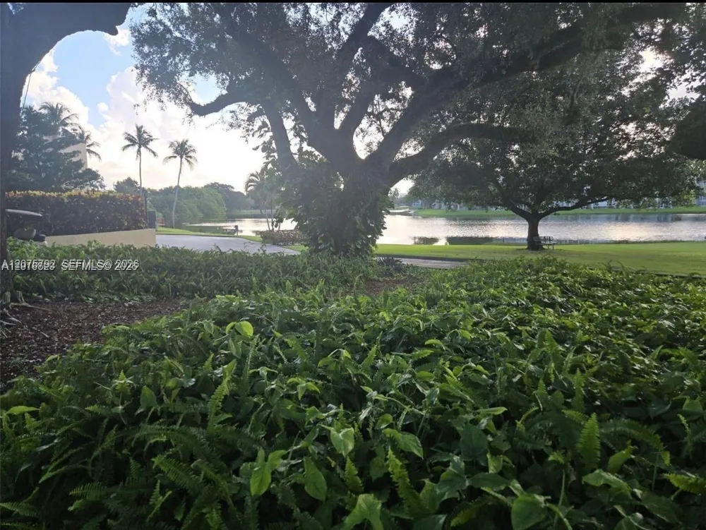 9400 Live Oak Pl #205 Davie, FL 33324