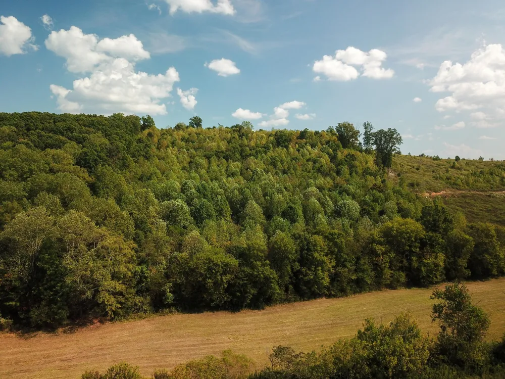 0 Lead Mine Valley Road SW Cleveland, TN 37311