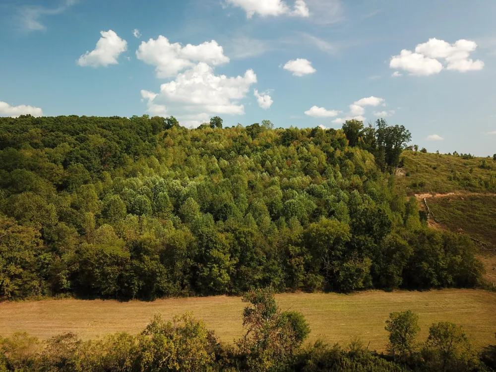 0 Lead Mine Valley Road SW Cleveland, TN 37311