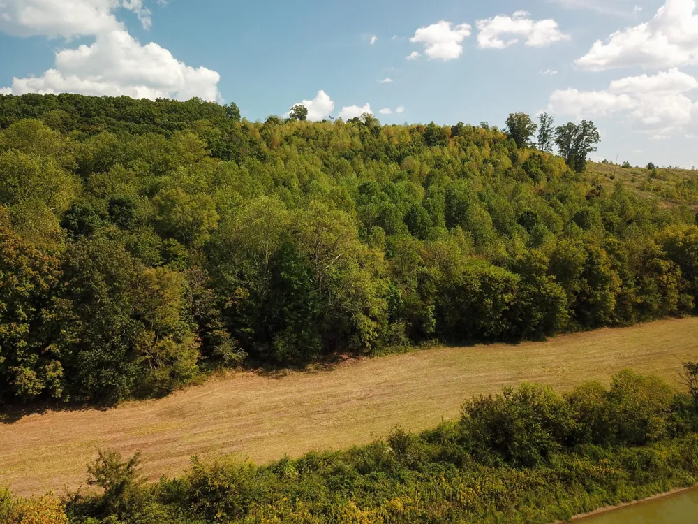 0 Lead Mine Valley Road SW Cleveland, TN 37311