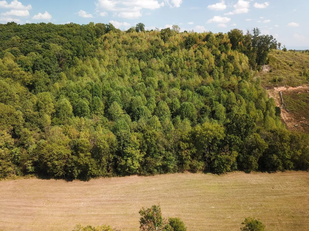 0 Lead Mine Valley Road SW Cleveland, TN 37311