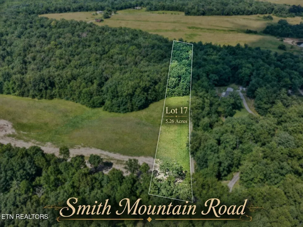17 Smith Mountain Rd Rockwood, TN 37854