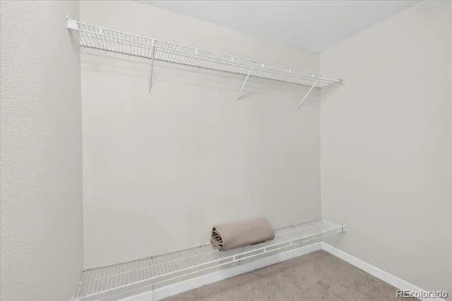 20371 Willowbend Lane Parker, CO 80138