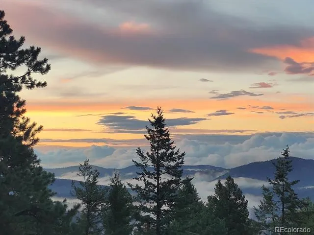 9648 Yegge Road Morrison, CO 80465