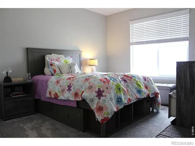 4541 Prairie River Court Firestone, CO 80504