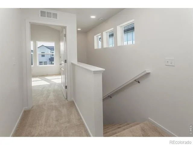 955 Trumpet Lane Windsor, CO 80550