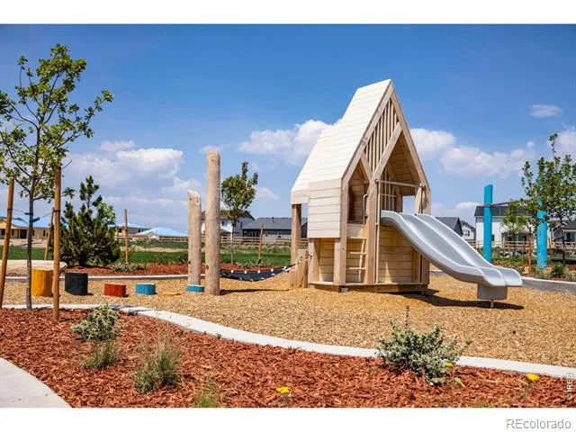 955 Trumpet Lane Windsor, CO 80550