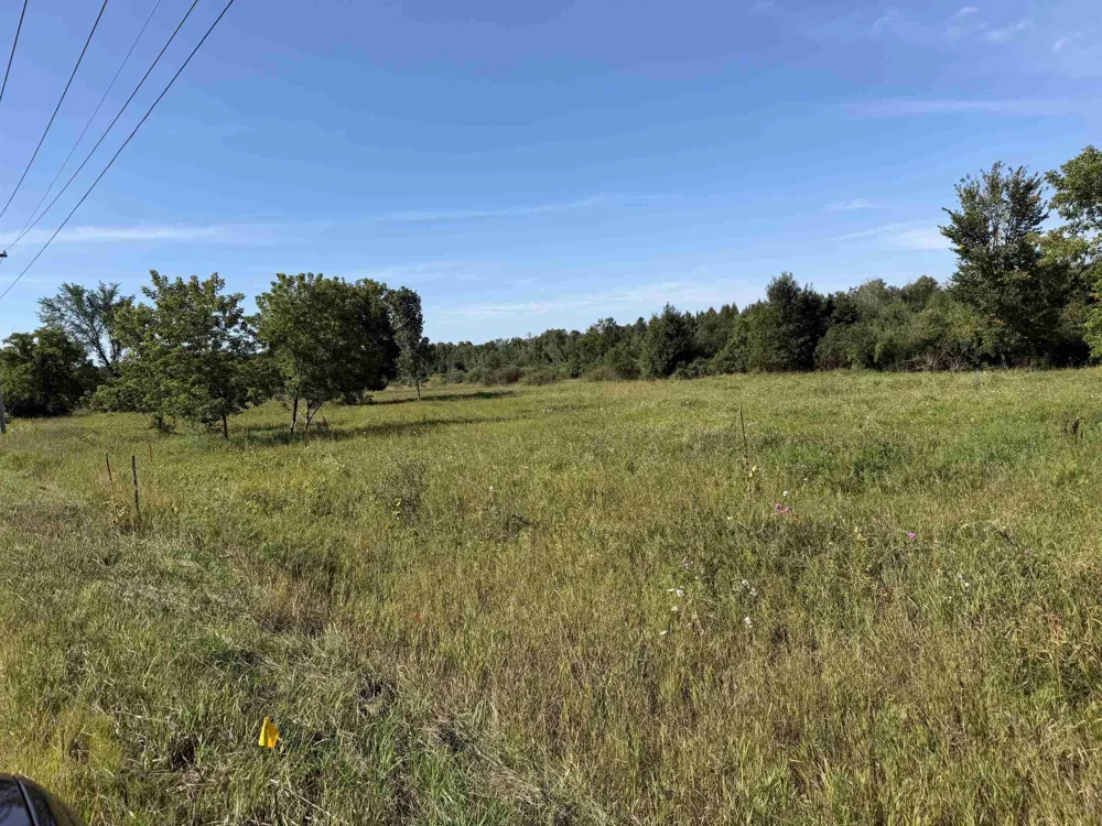 S M-88 Kearney Township, MI 49615