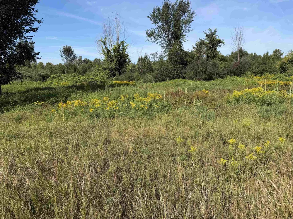 S M-88 Kearney Township, MI 49615