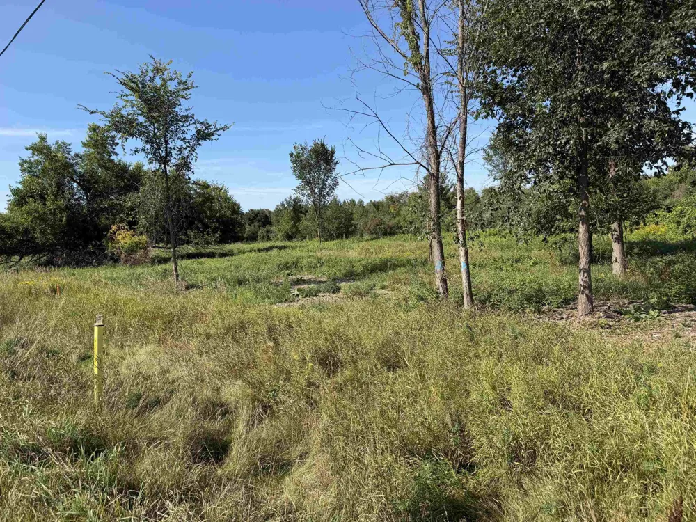 S M-88 Kearney Township, MI 49615