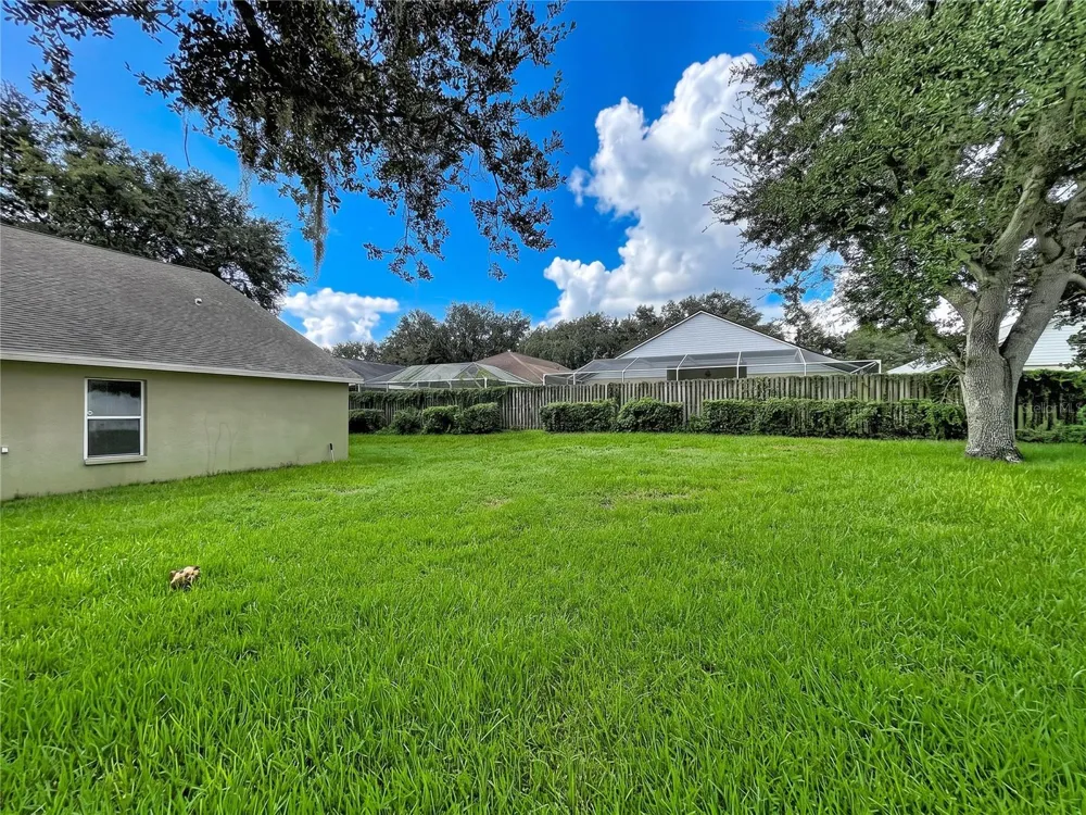 1124 SPLIT SILK STREET Valrico, FL 33594
