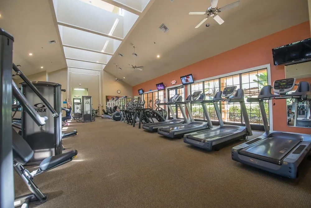 147 SHELL FALLS DRIVE Apollo Beach, FL 33572