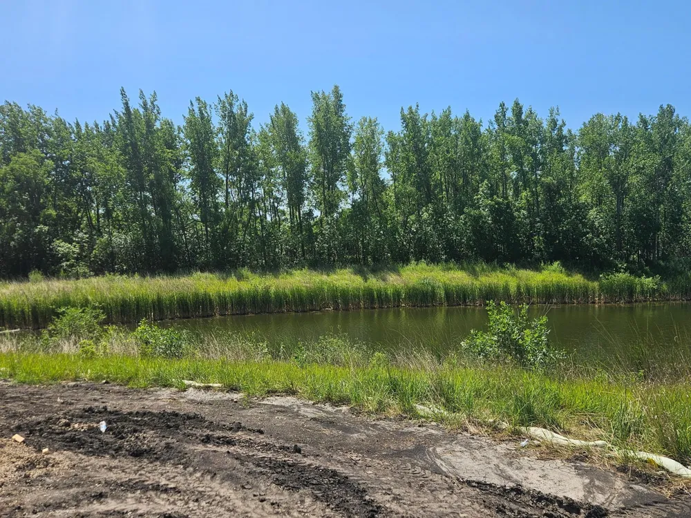 246 10th Avenue NE Hutchinson, MN 55350
