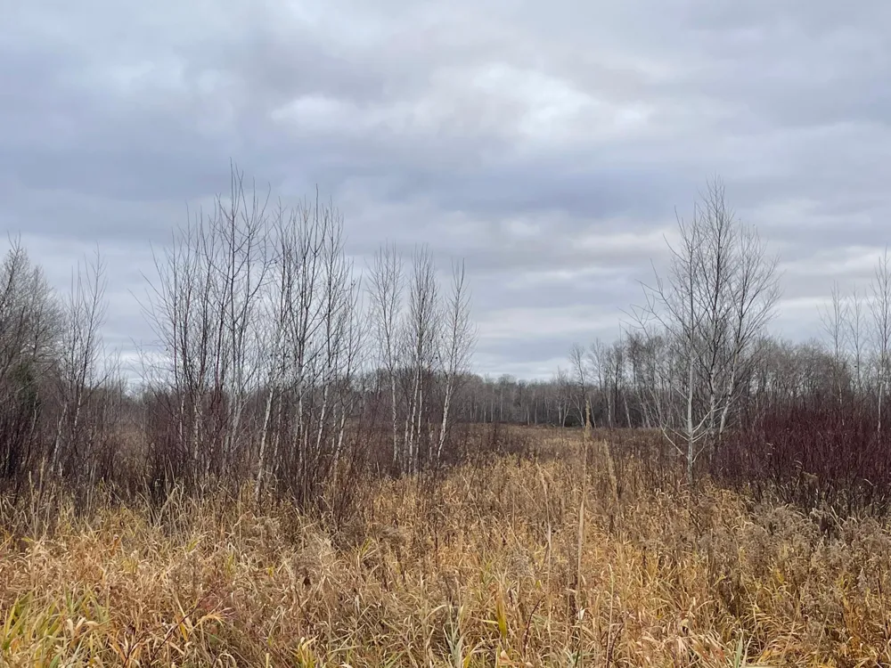 TBD Olson Road Hinckley, MN 55037