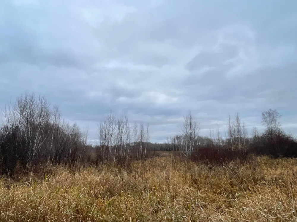 TBD Olson Road Hinckley, MN 55037