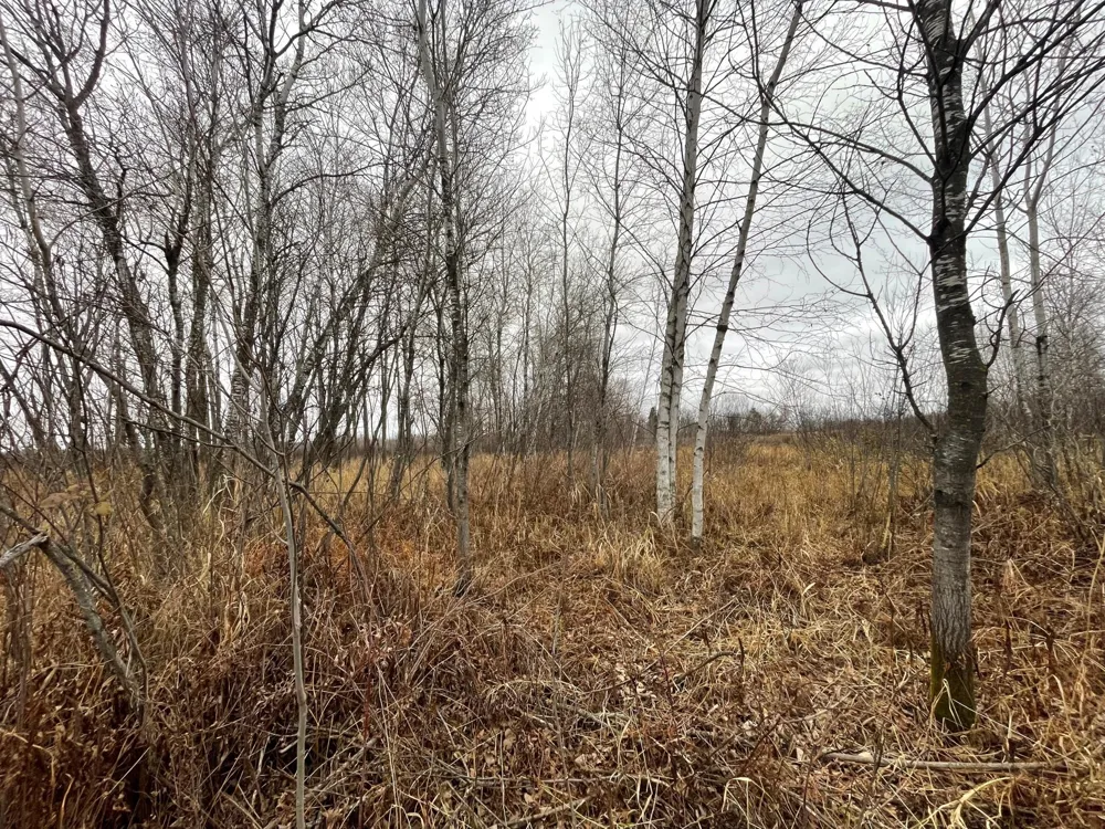 TBD Olson Road Hinckley, MN 55037