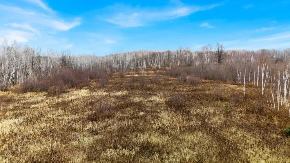 TBD Olson Road Hinckley, MN 55037