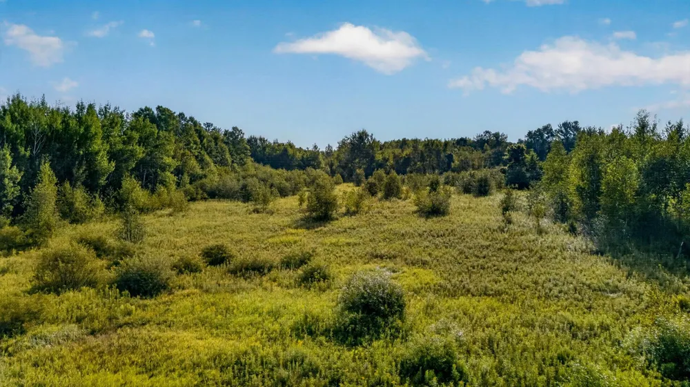TBD Olson Road Hinckley, MN 55037