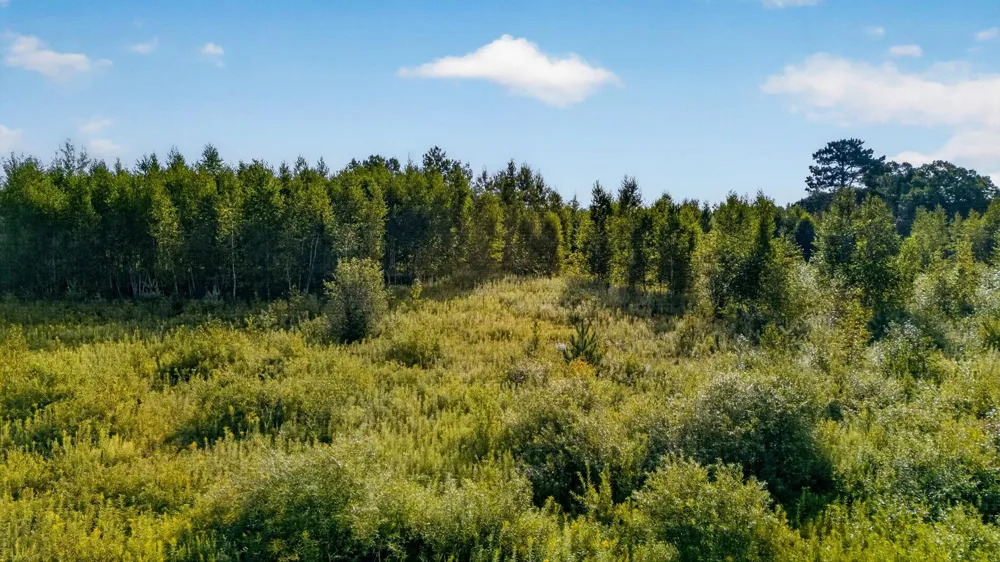 TBD Olson Road Hinckley, MN 55037