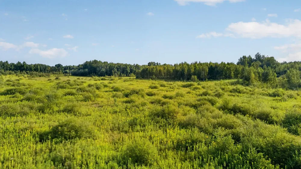TBD Olson Road Hinckley, MN 55037