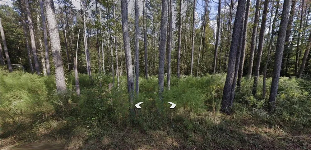 0 Holly Road TRACT 3 Bowdon, GA 30108