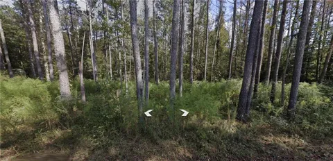 0 Holly Road TRACT 3