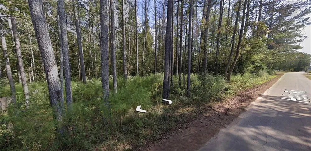 0 Holly Road TRACT 3 Bowdon, GA 30108