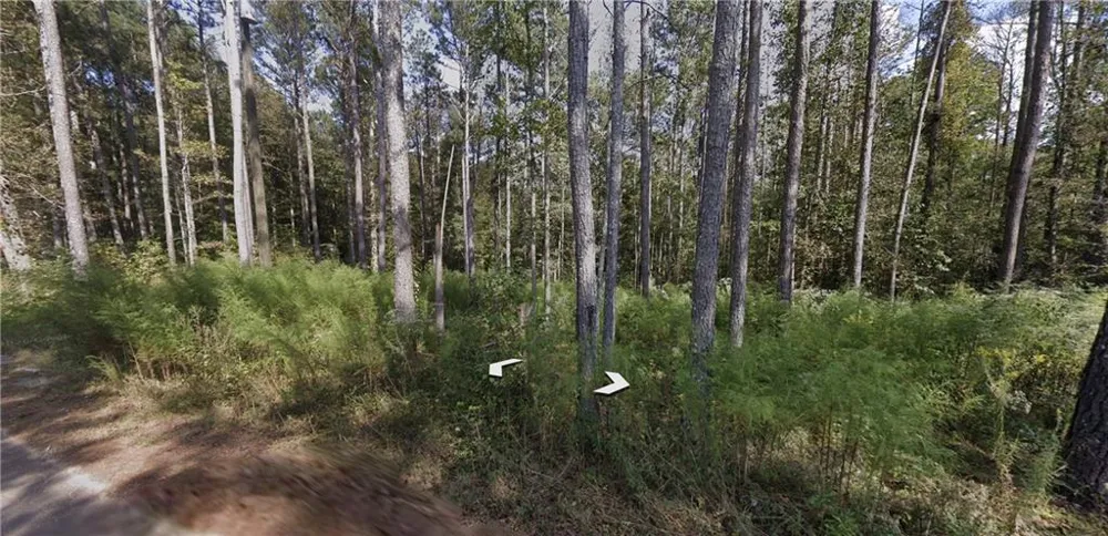 0 Holly Road TRACT 3 Bowdon, GA 30108