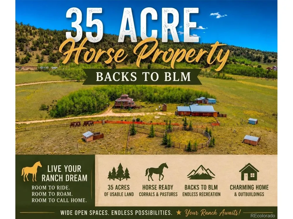 474 Gap Road Fairplay, CO 80440