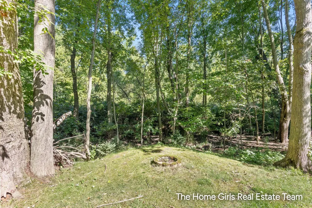 10333 Meadowgate Drive NE Sparta, MI 49345
