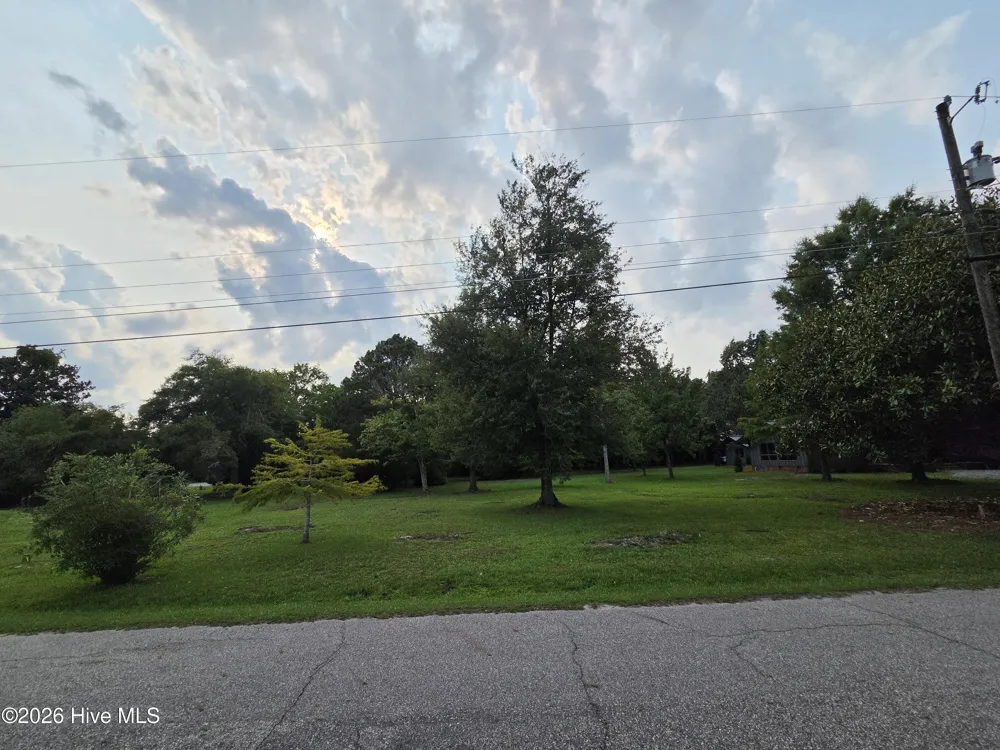 Address Not Shown Lake Waccamaw, NC 28450