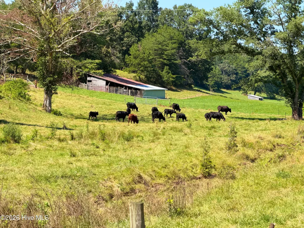 710 Donley Road Murphy, NC 28906