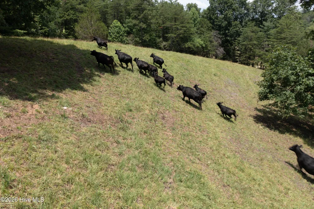 710 Donley Road Murphy, NC 28906