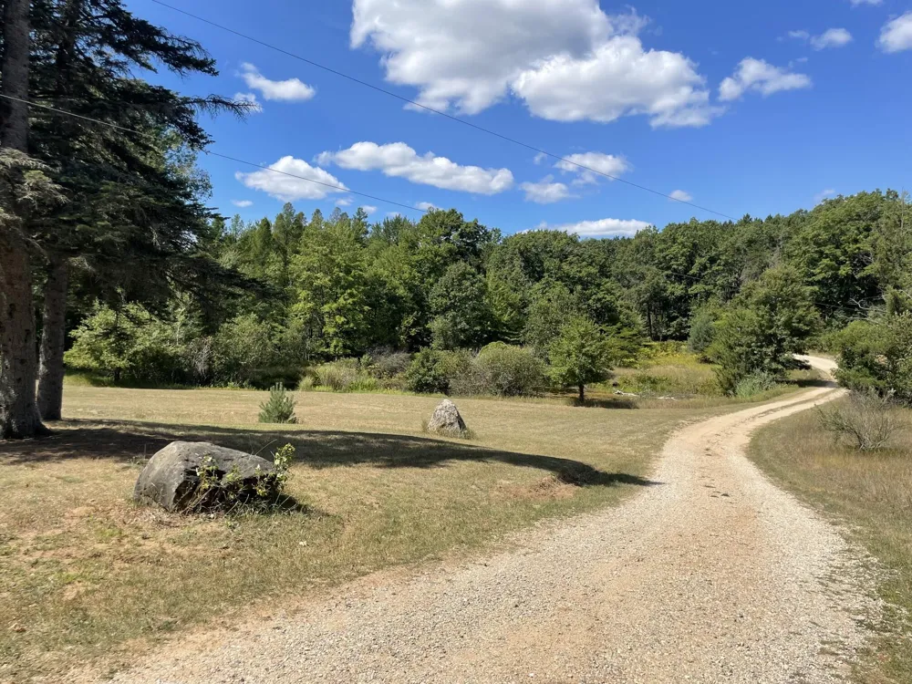 7225 E Sargeo Drive Ellsworth Township, MI 49656