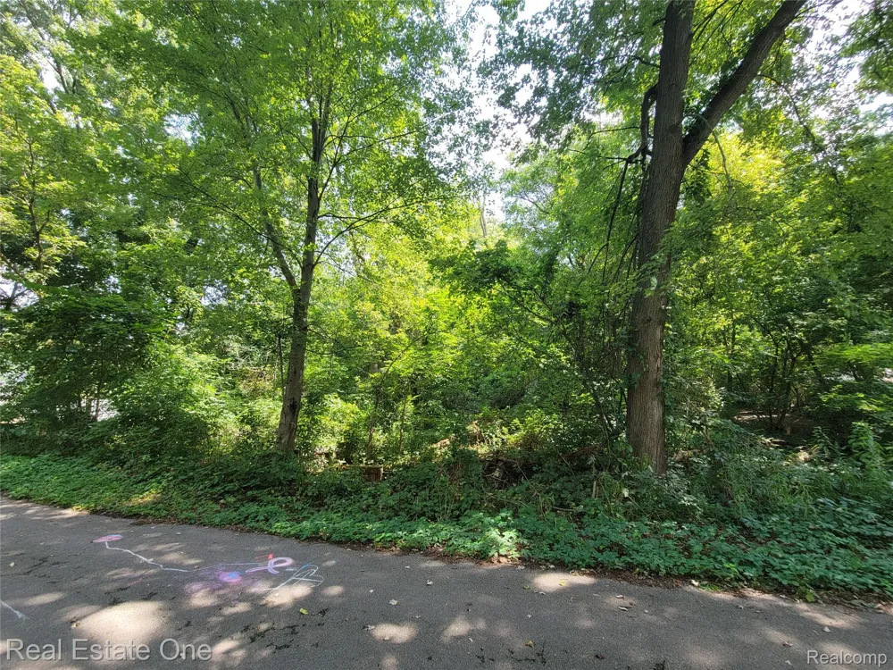 Tamworth Street Commerce Charter Township, MI 48382