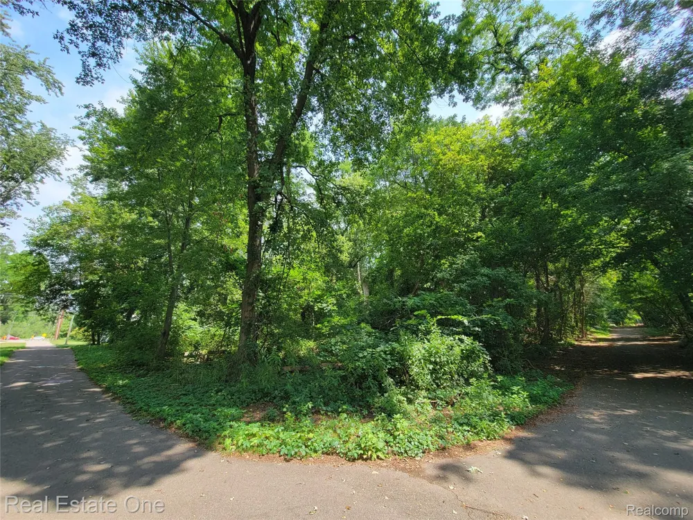 Tamworth Street Commerce Charter Township, MI 48382